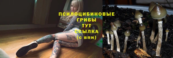 ешки Абдулино