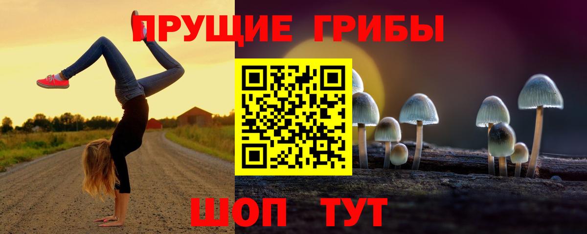 Южноуральск  Галлюциногенные грибы мицелий  магазин продажи   Псилоцибиновые грибы MAGIC MUSHROOMS  Вход с VPN 